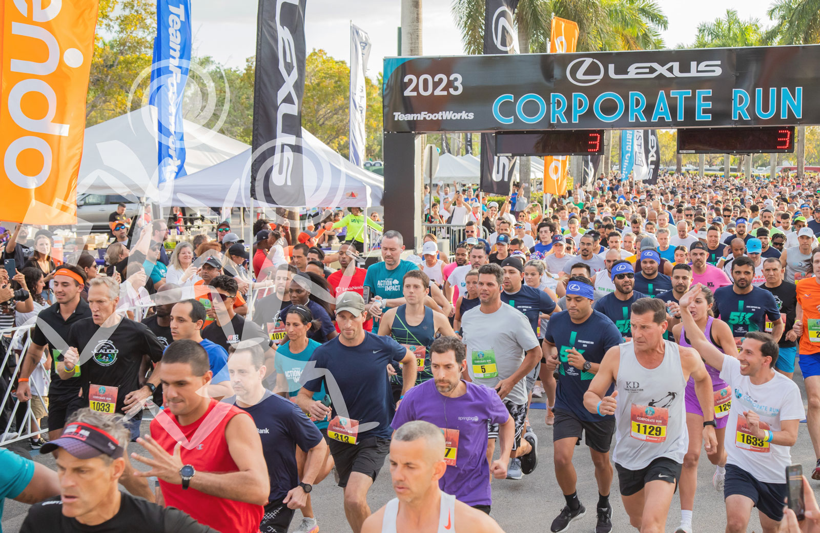 Lexus Corporate Run