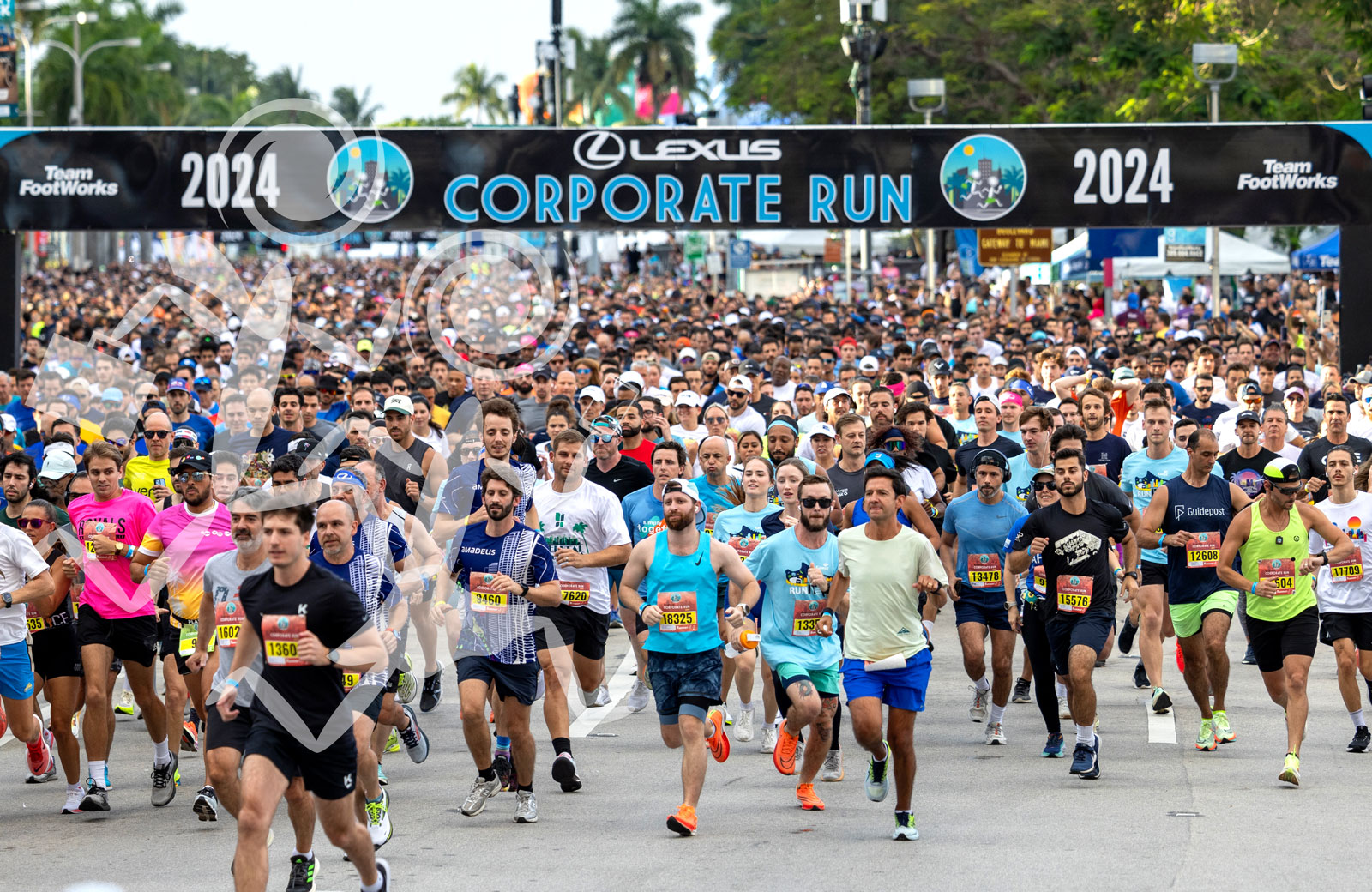Lexus Corporate Run