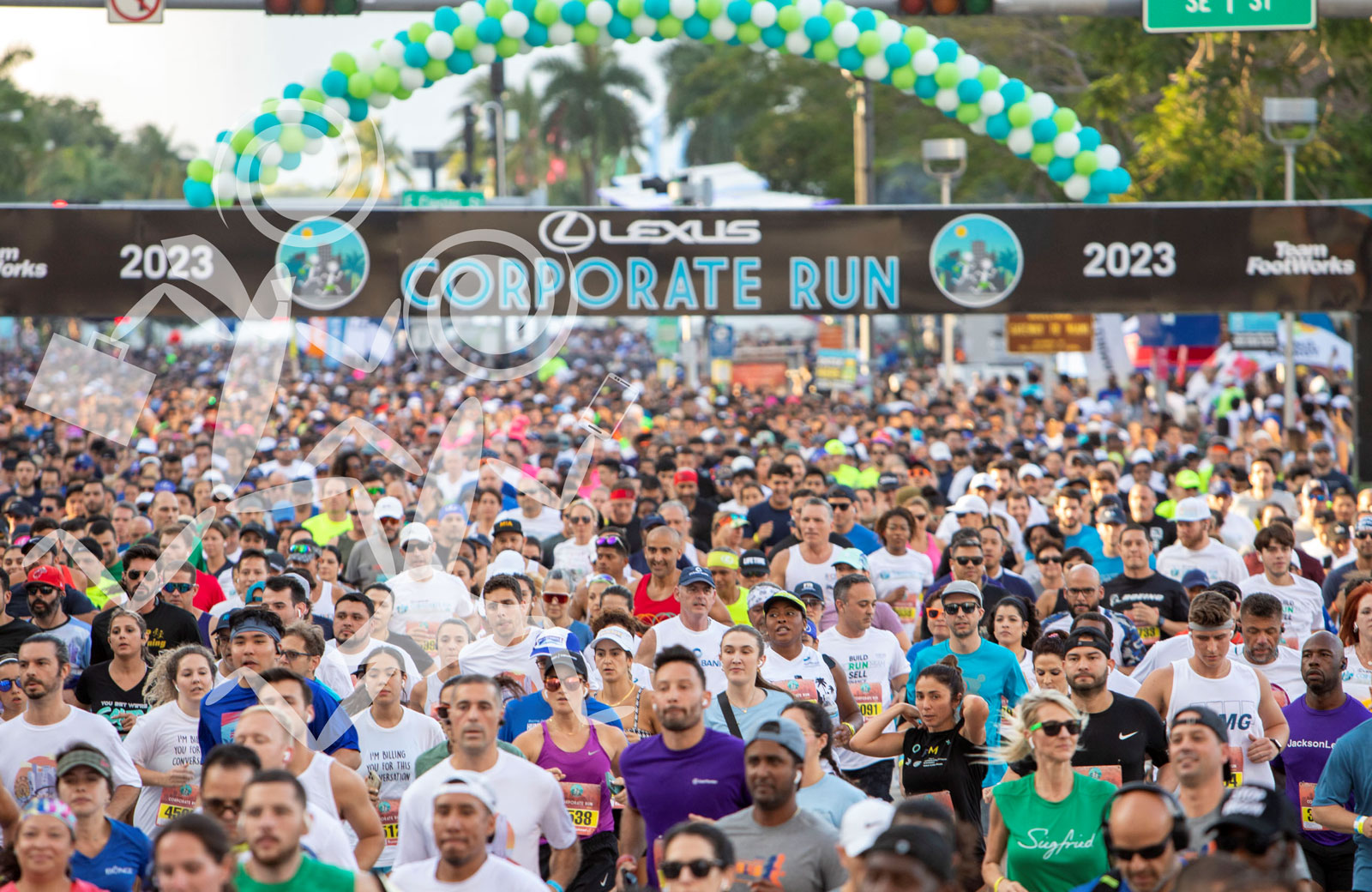 Lexus Corporate Run