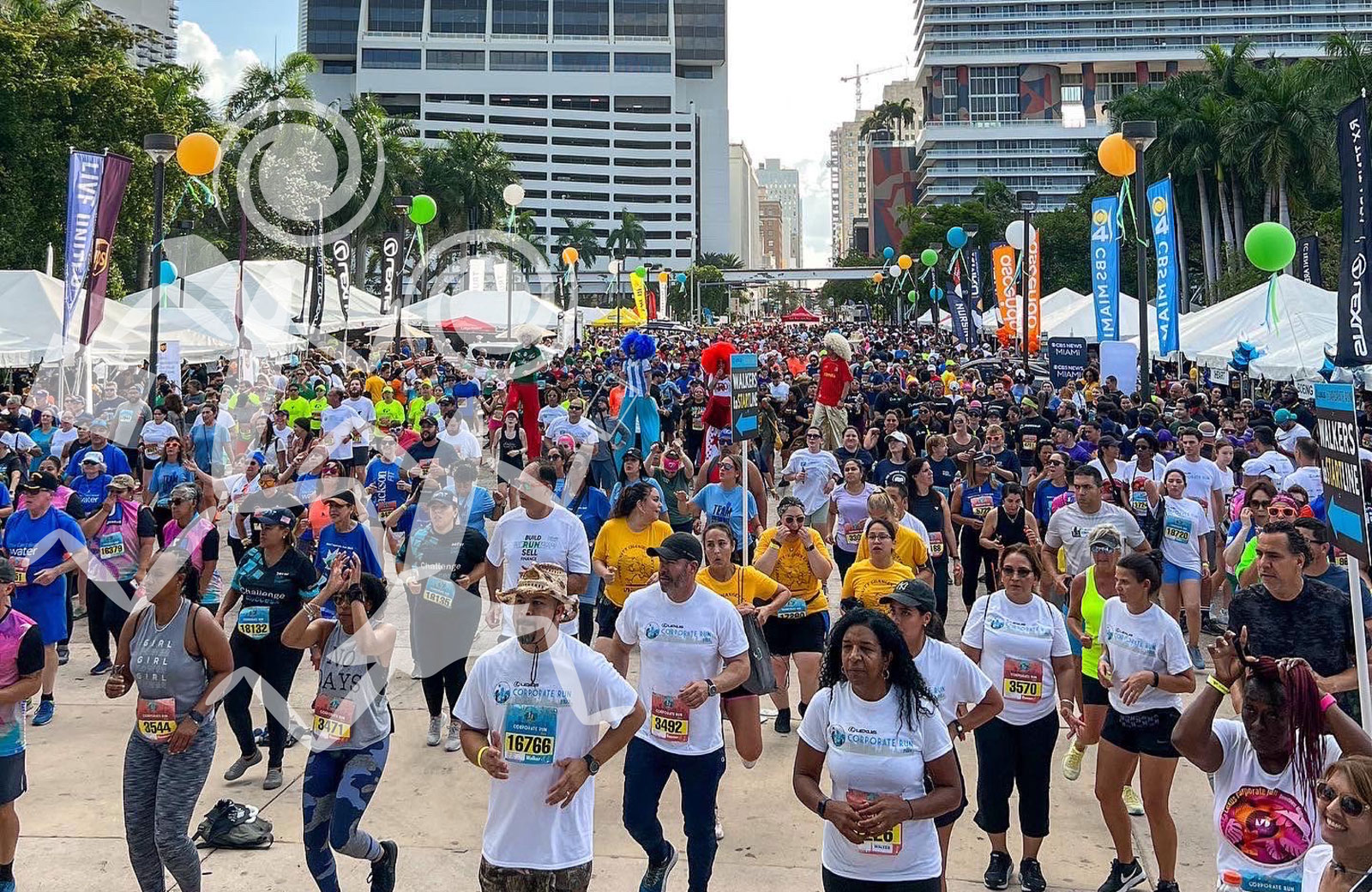 Lexus Corporate Run